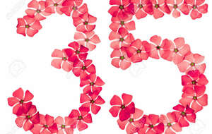 PODIUMS 2025 DE LA SECTION