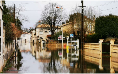 SORTIE Dimanche 07.02.21