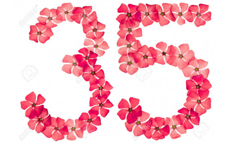 PODIUMS 2025 DE LA SECTION