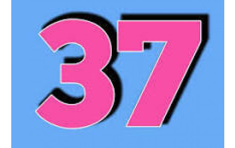 PODIUMS  DE LA SECTION 2026 : 37